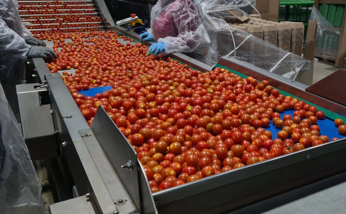 РБК Черноземье