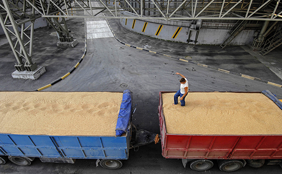 Автомобили, груженые зерном, в очереди на взвешивание и разгрузку на зерновом терминале Новороссийского морского торгового порта