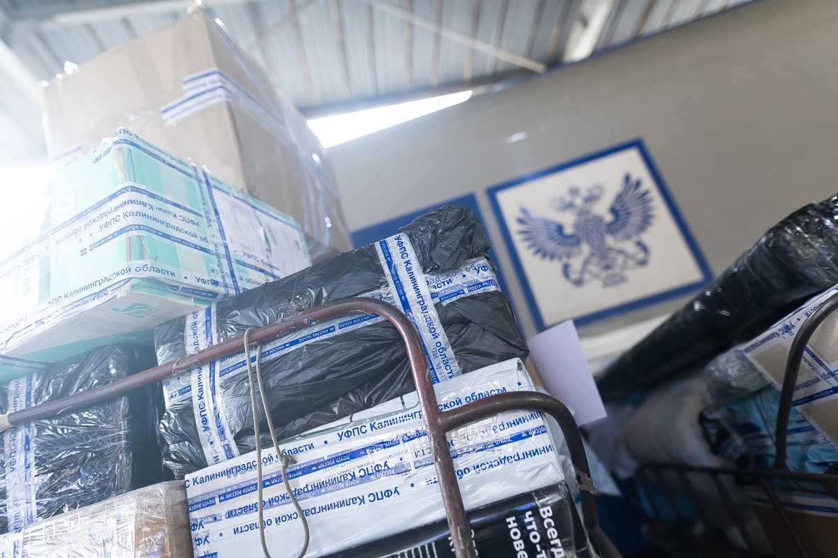 Александр Подгорчук