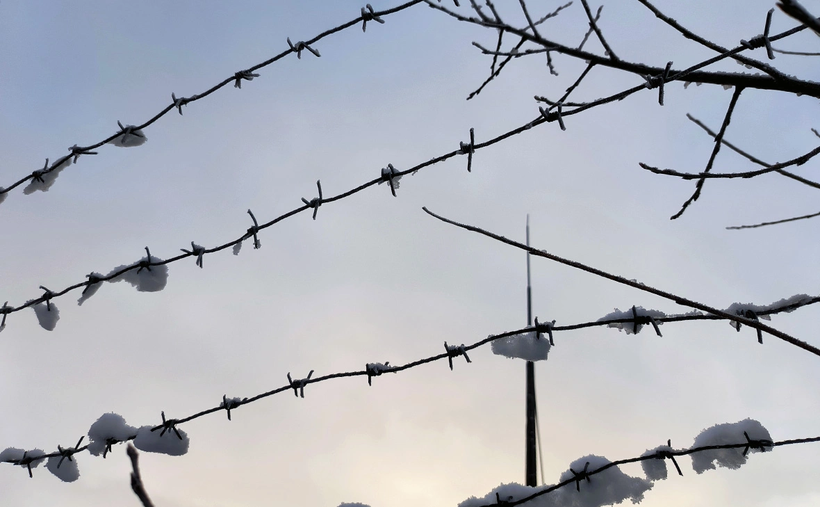 Максим Константинов / Global Look Press