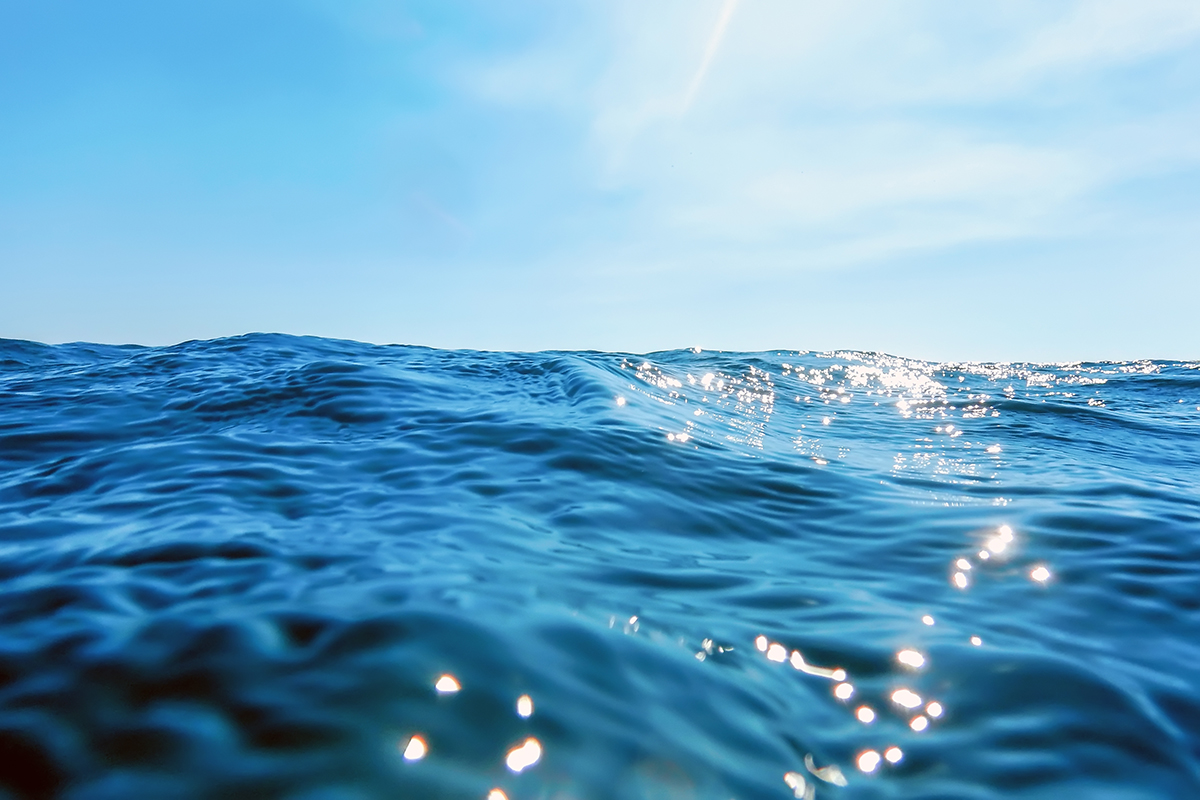 На круизном лайнере начали варить пиво на основе морской воды