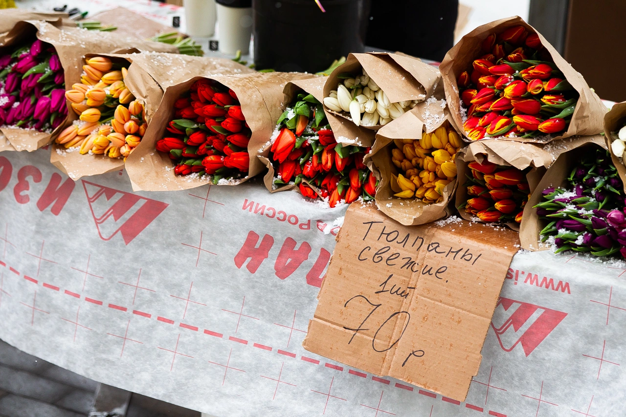 Александр Подгорчук
