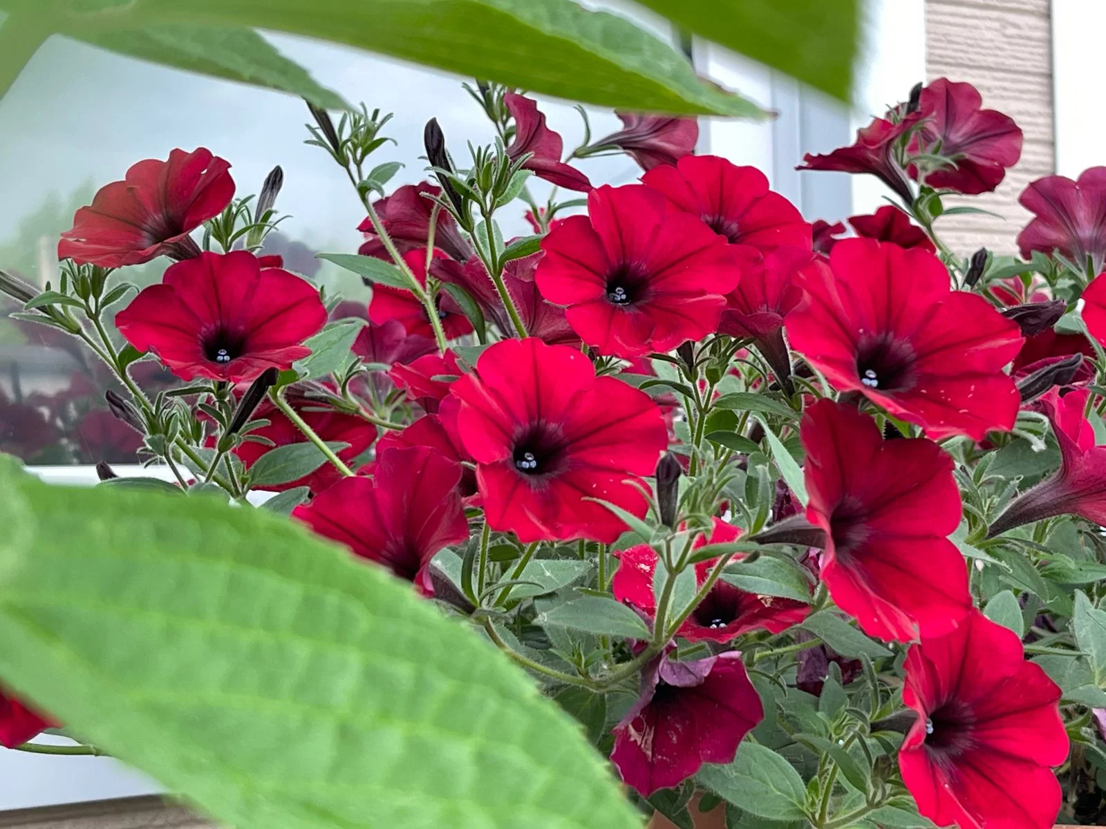 РБК Приморье