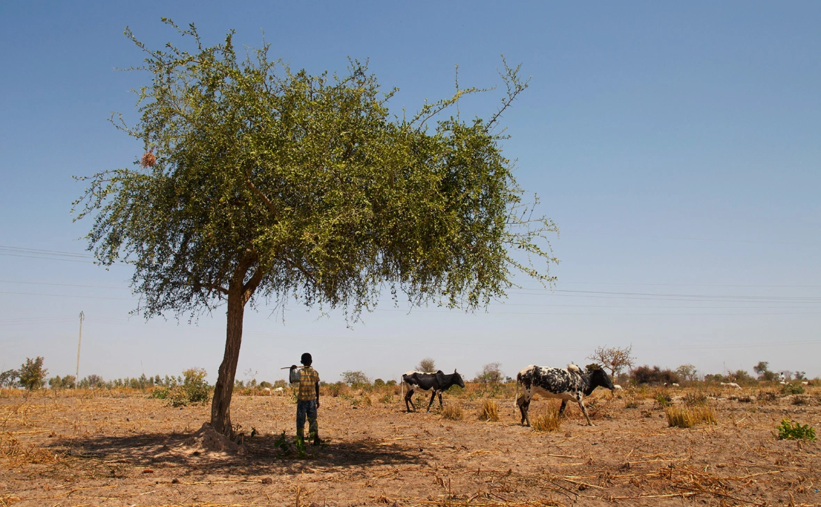 Antoine Boureau / Hans Lucas / Reuters