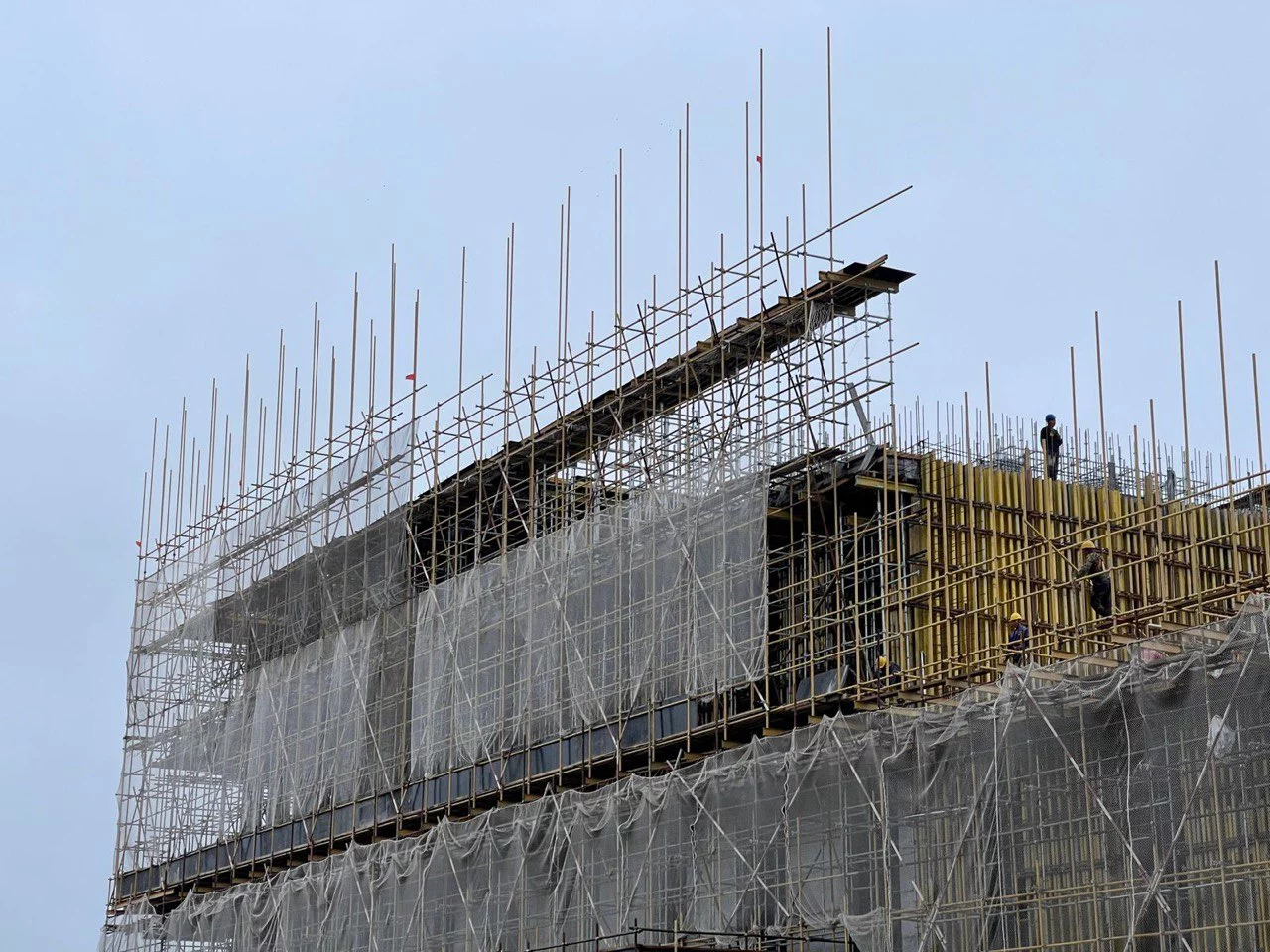 РБК Приморье