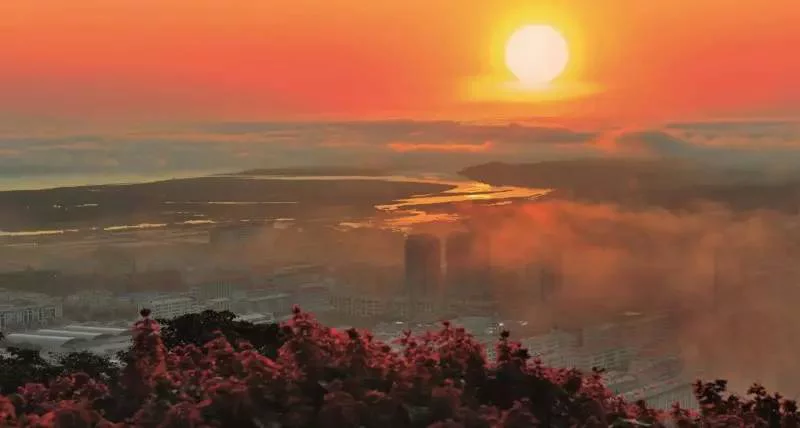 Народное правительство Фуюаня