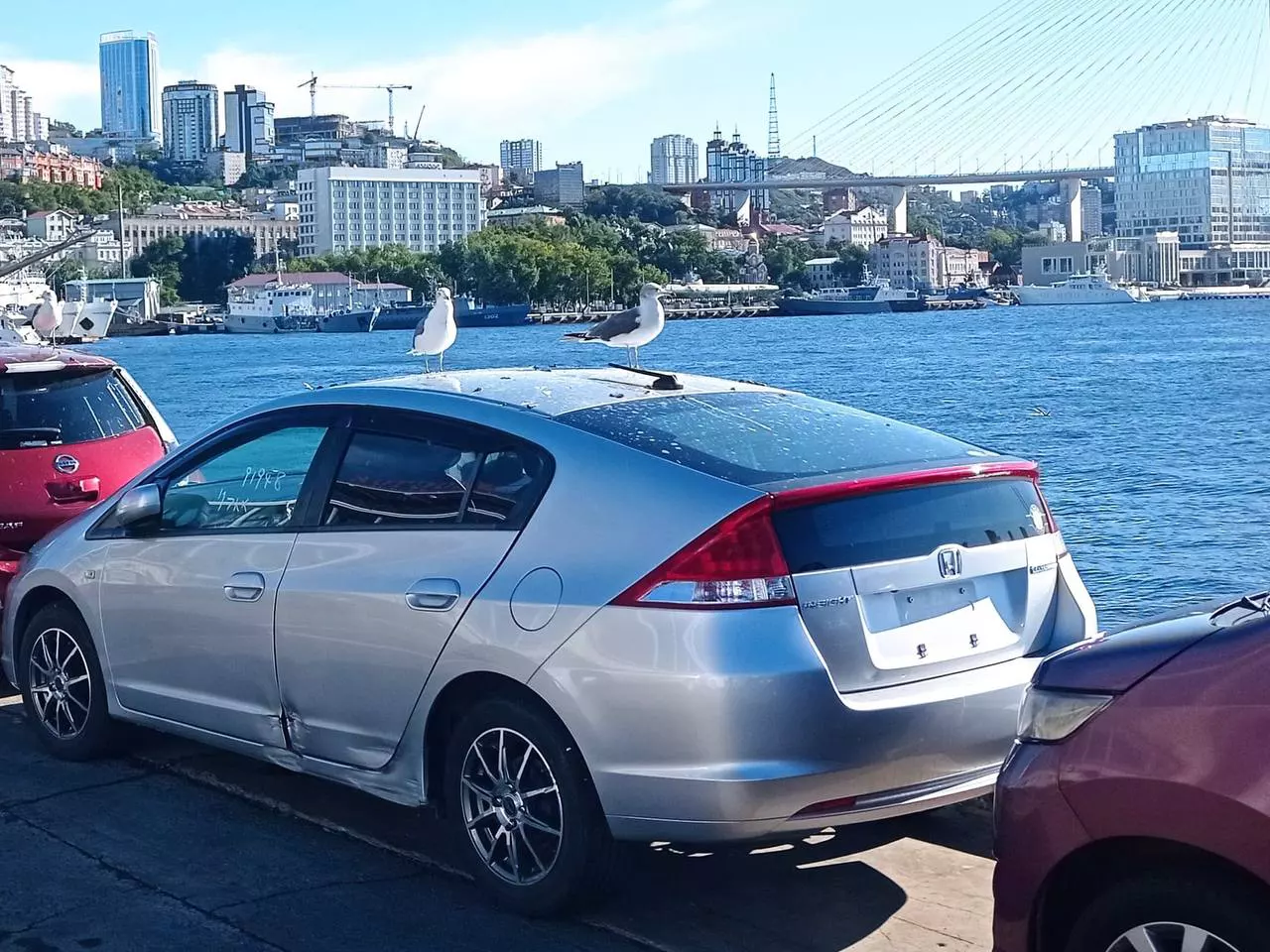 РБК Приморье