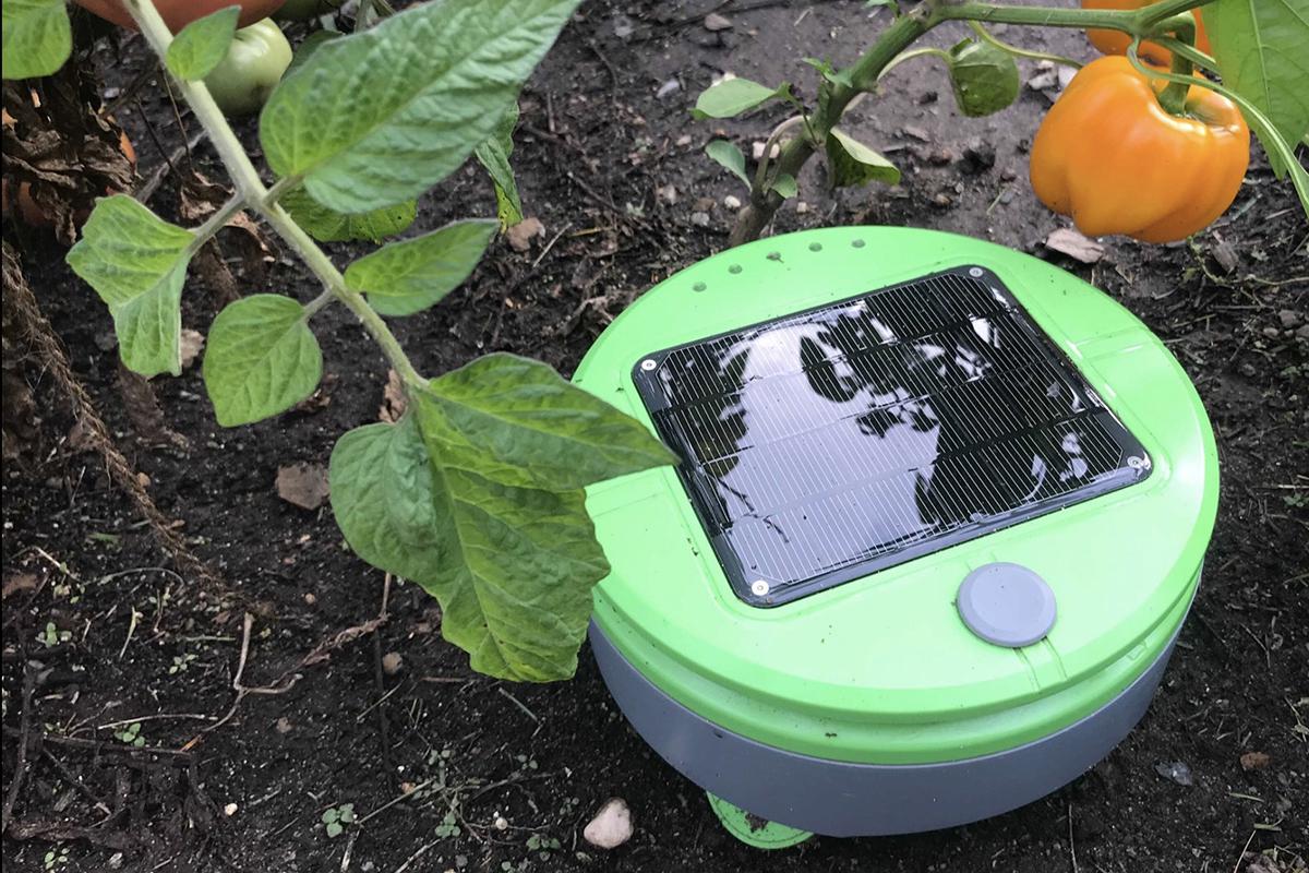 Фото: Tertill / Facebook (входит в корпорацию Meta, признана экстремистской и запрещена в России)