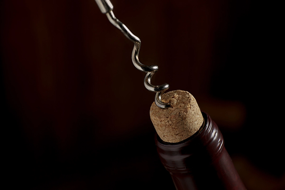 Медитация с огнем и вином: шесть вин для вечера у камина