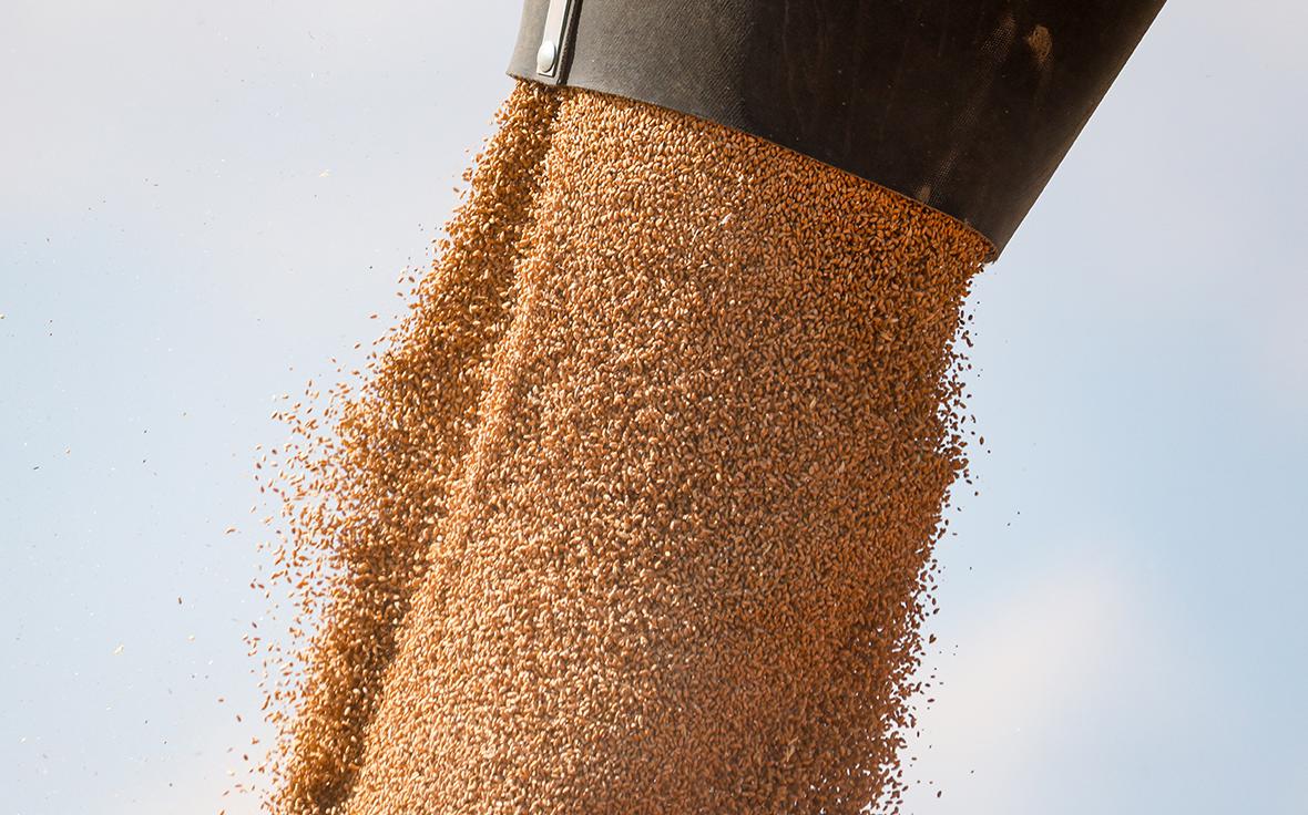 Как цифровизация снижает риски в АПК