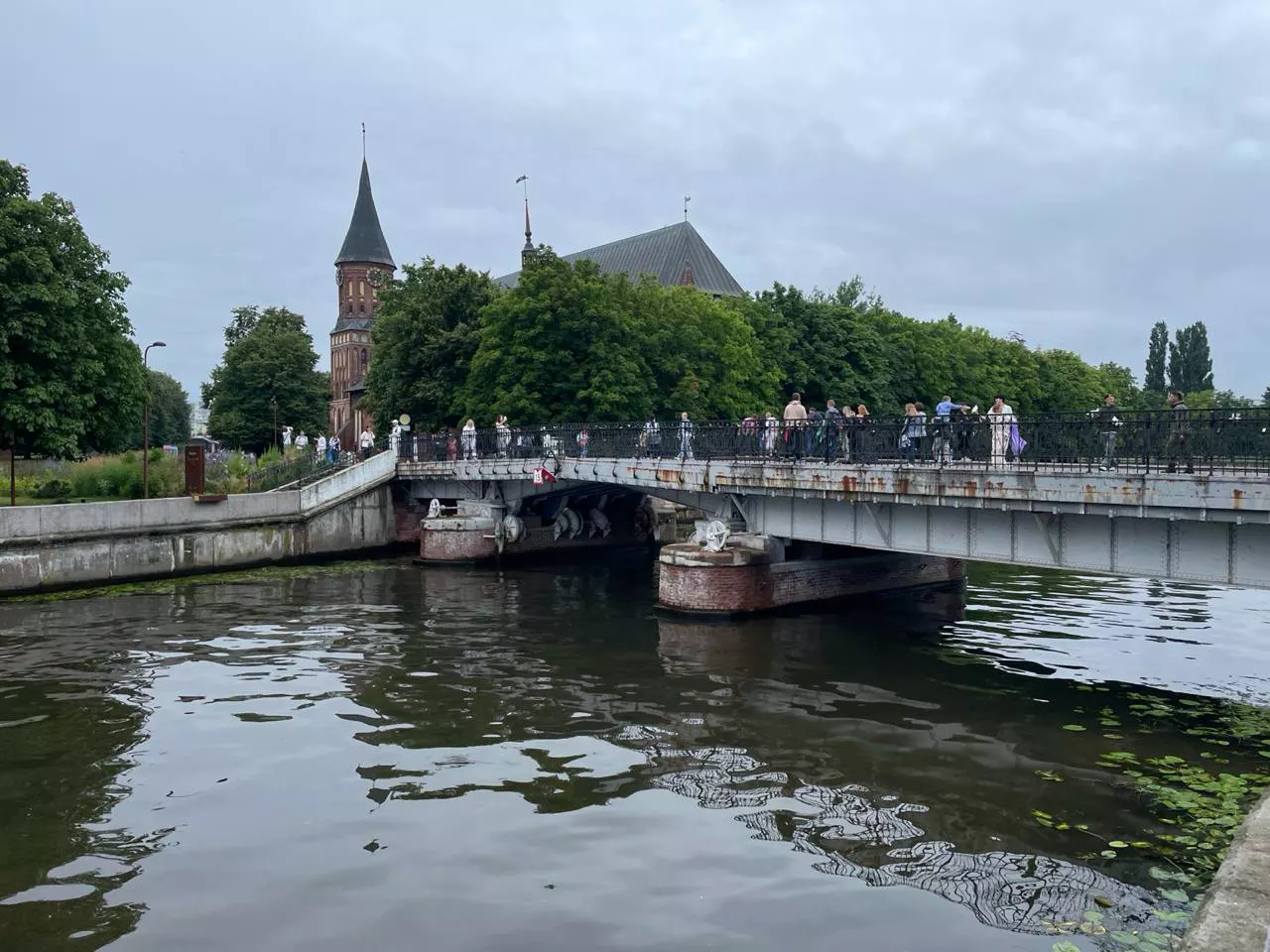 Марина Маркевич