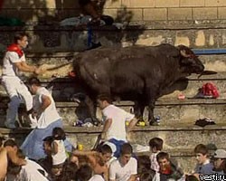 В Испании разъяренный бык напал на зрителей на трибуне