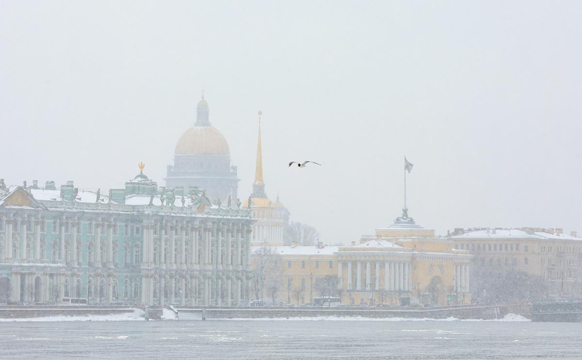 Фото: Петр Ковалев / ТАСС