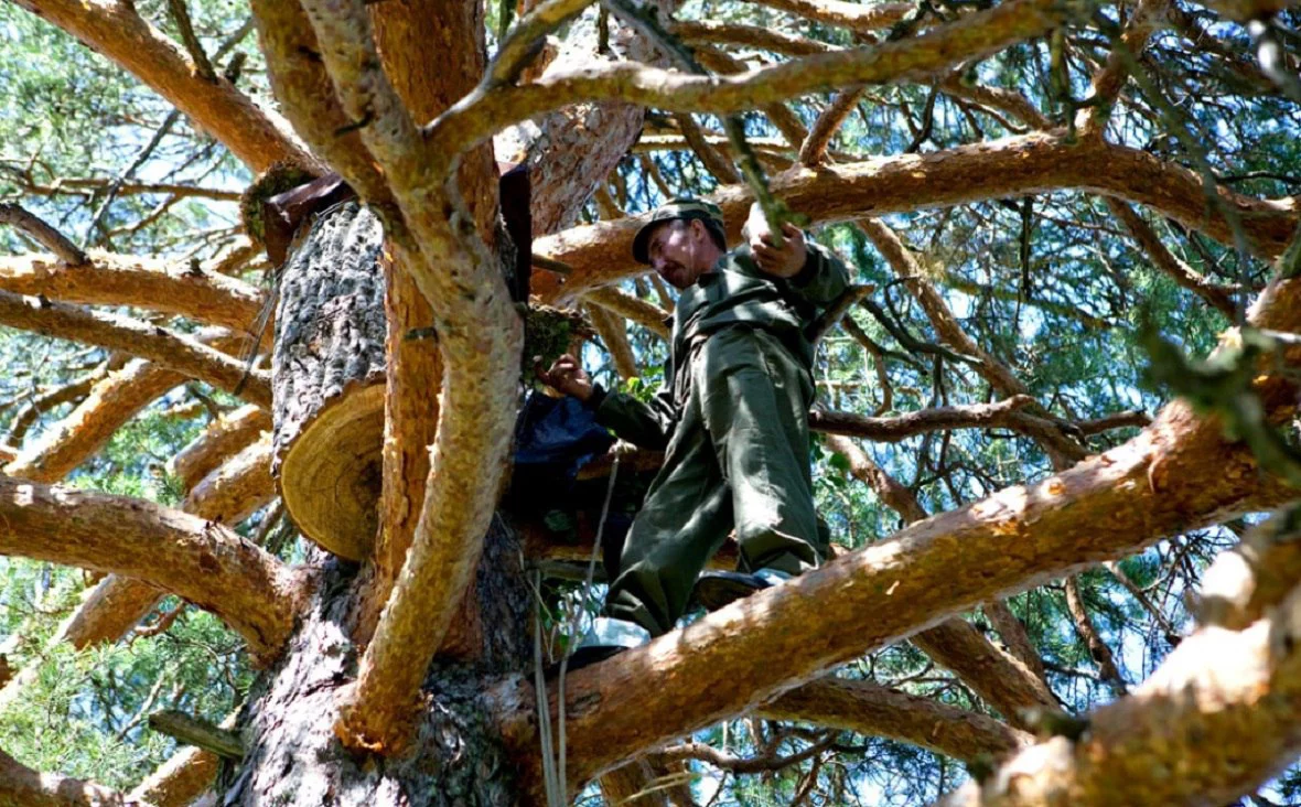 заповедник "Шульган-Таш"