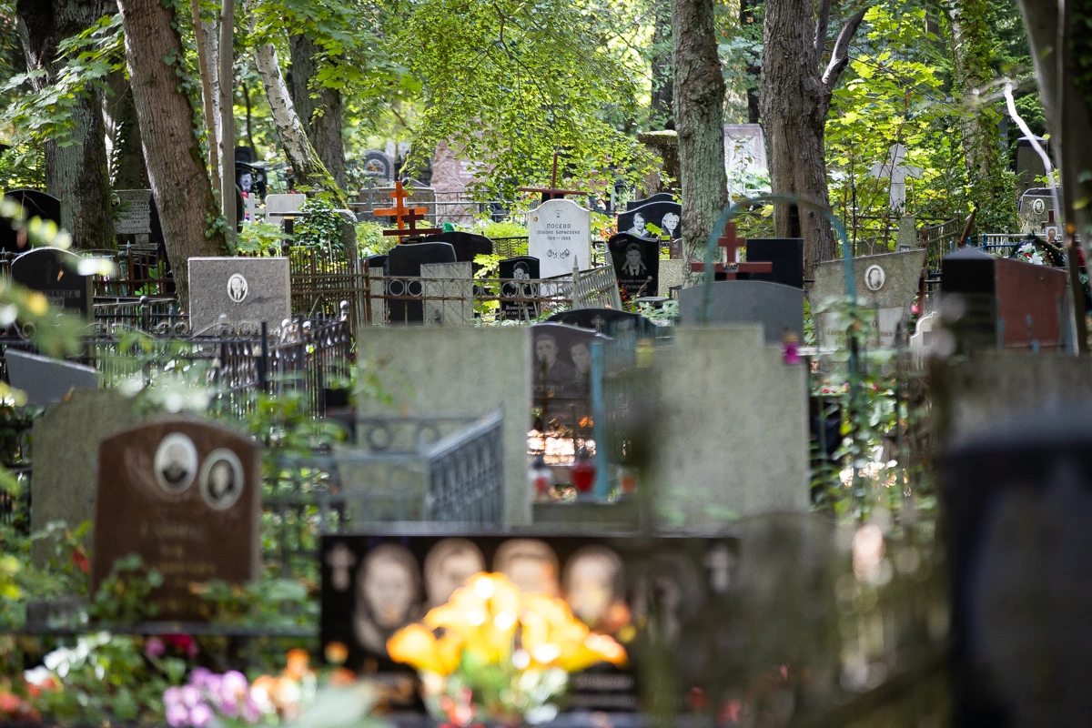 Александр Подгорчук