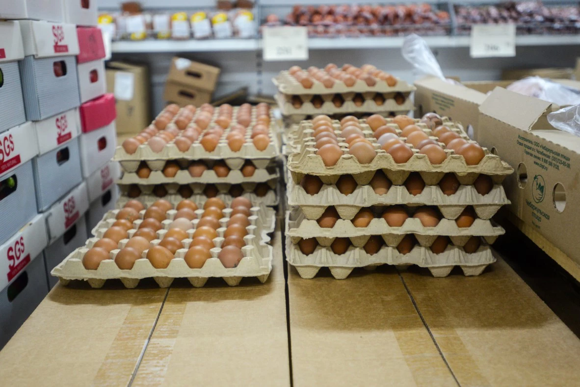 Марат Губайдуллин / URA.RU