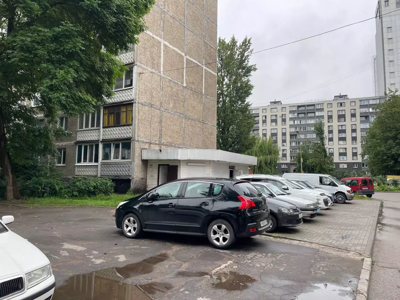 Марина Маркевич