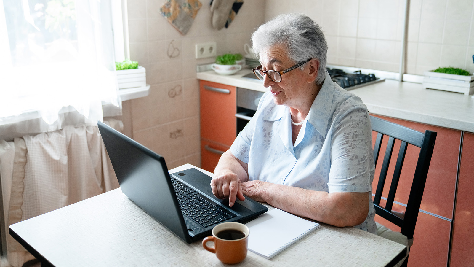 В России планируют развивать удаленку для пенсионеров