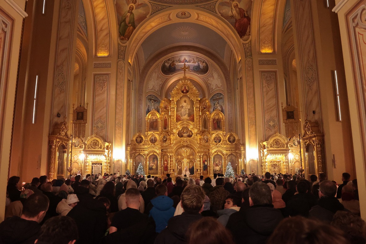 Фото: пресс-служба правительства Ростовской области