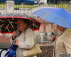 В Петербург в воскресенье придет тепло и дождь