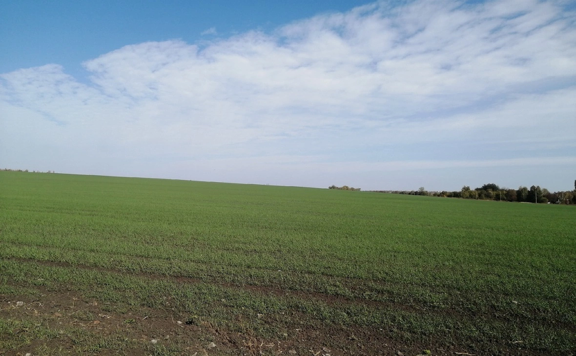 РБК Черноземье