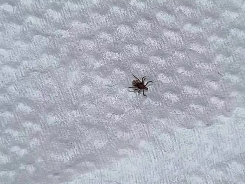 РБК Приморье 