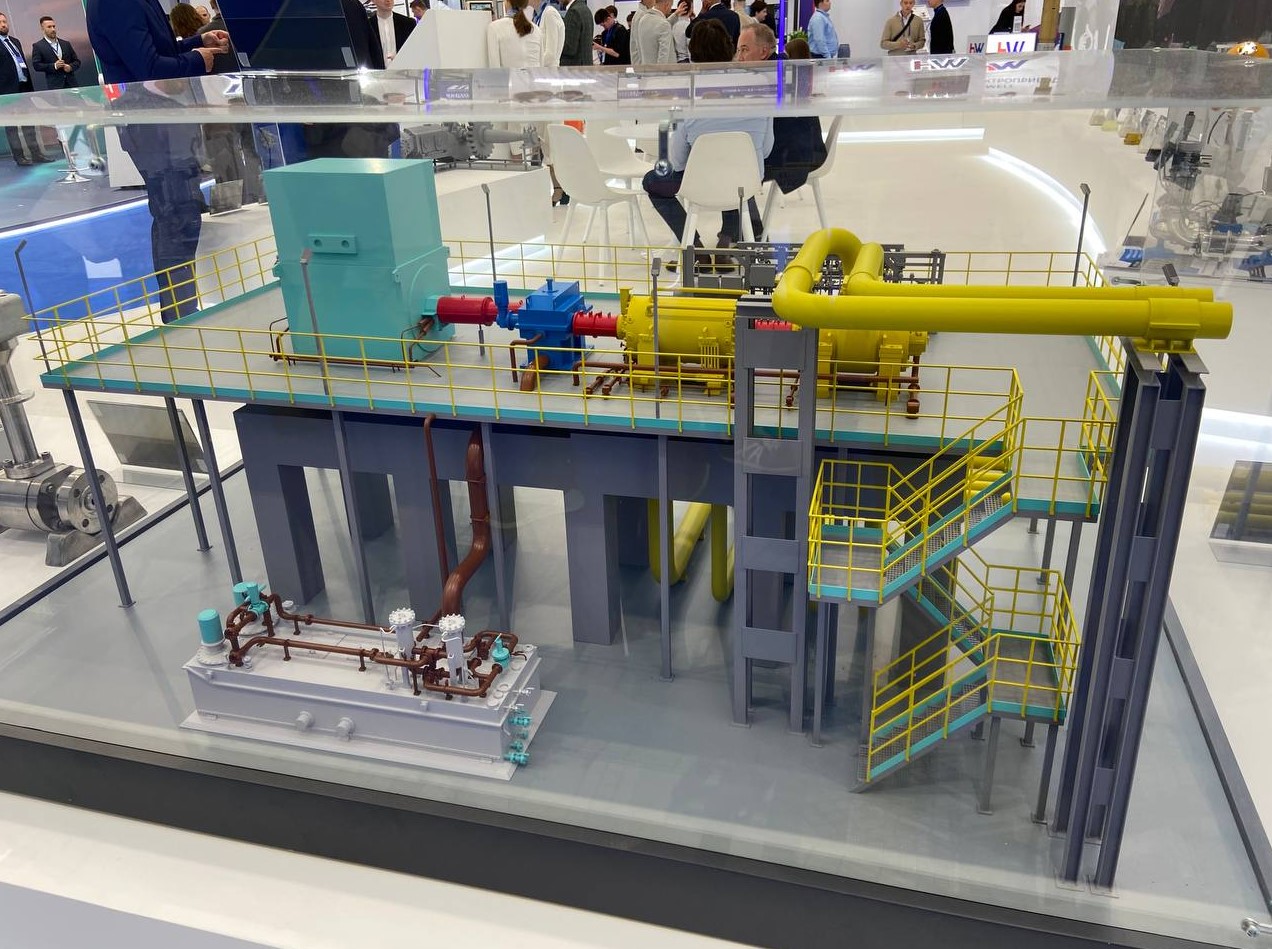 Фото: Артём Нагапетян / РБК Тюмень