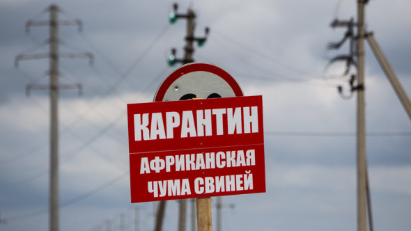 Александр Подгорчук