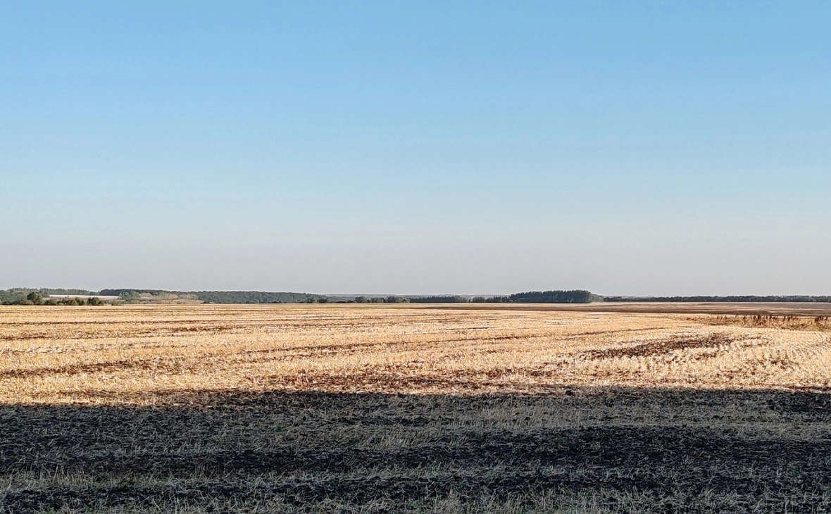 РБК Черноземье