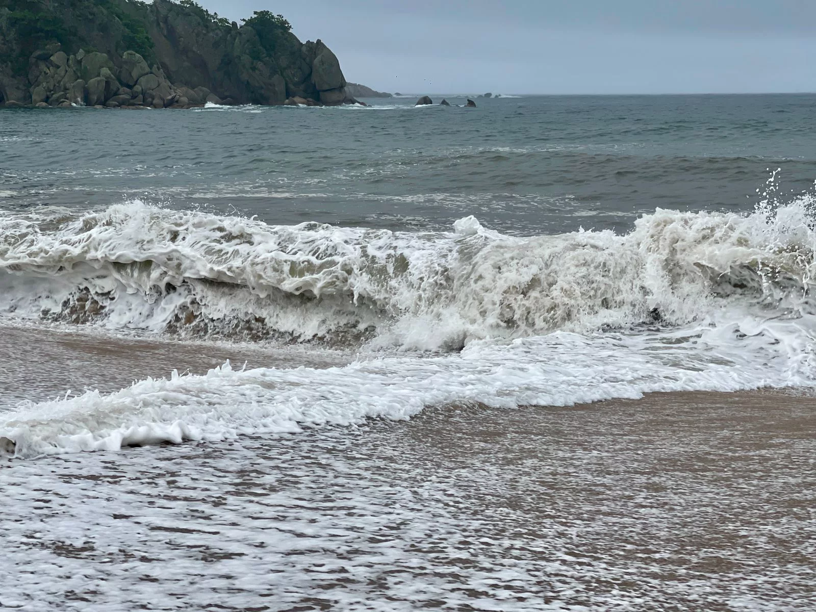 РБК Приморье