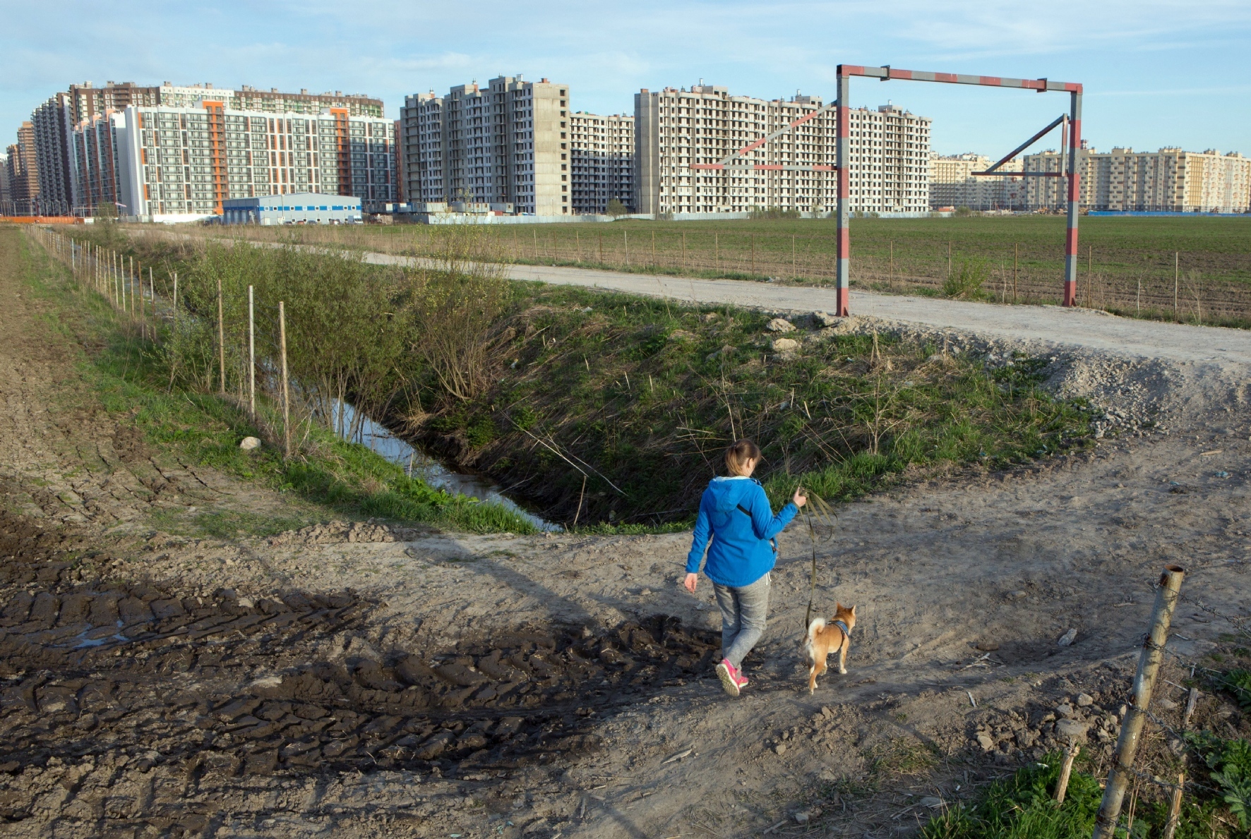 Фото: Куликов Сергей/PhotoXPress.ru