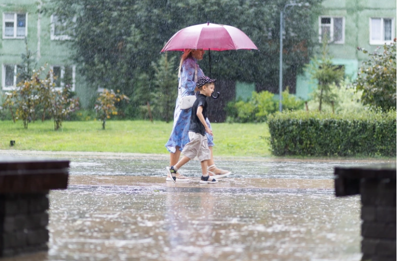 Александр Подгорчук
