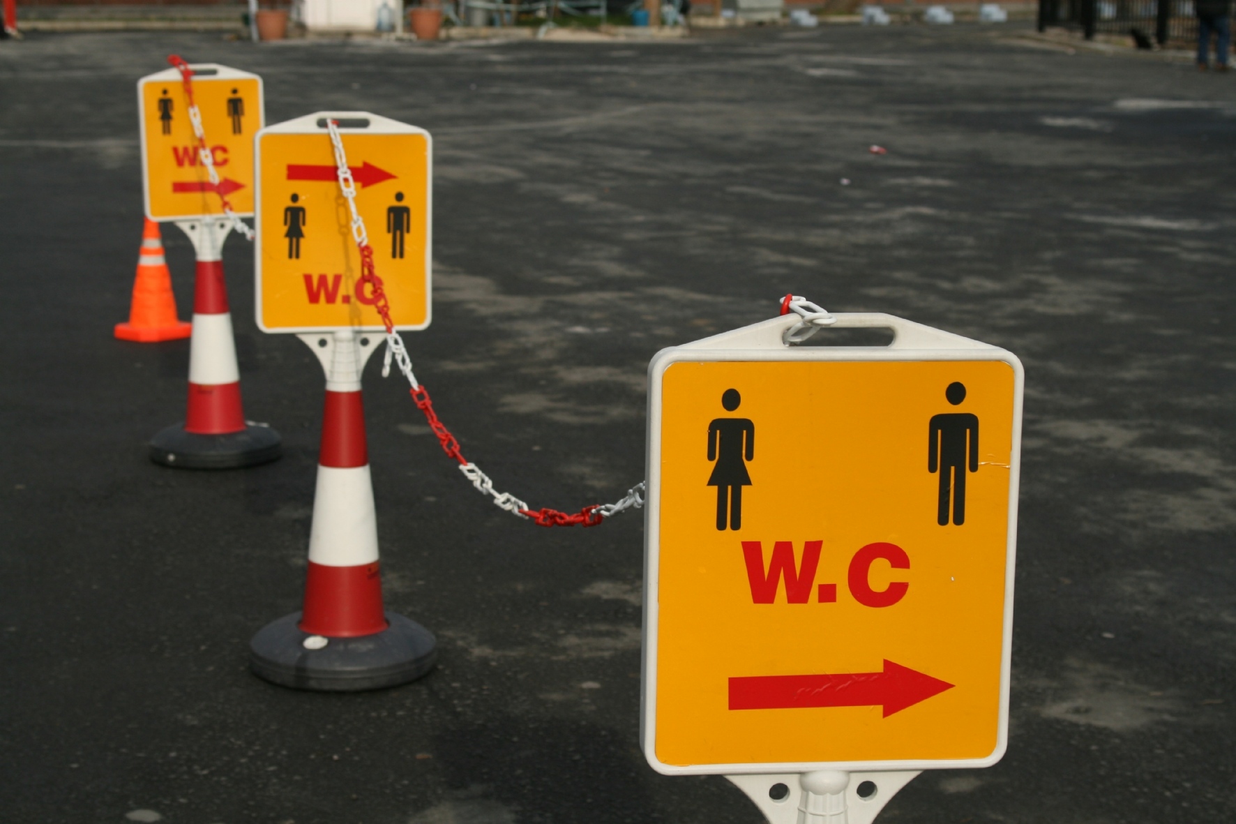 Фото: Ливанова Соня/PhotoXPress.ru