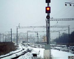 Под Петербургом поезд протаранил автомобиль: 5 погибших