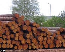МПР РФ предлагает существенно увеличить вырубку лесов