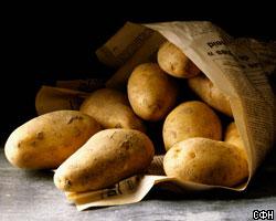 Итальянке продали гранату в мешке с картошкой