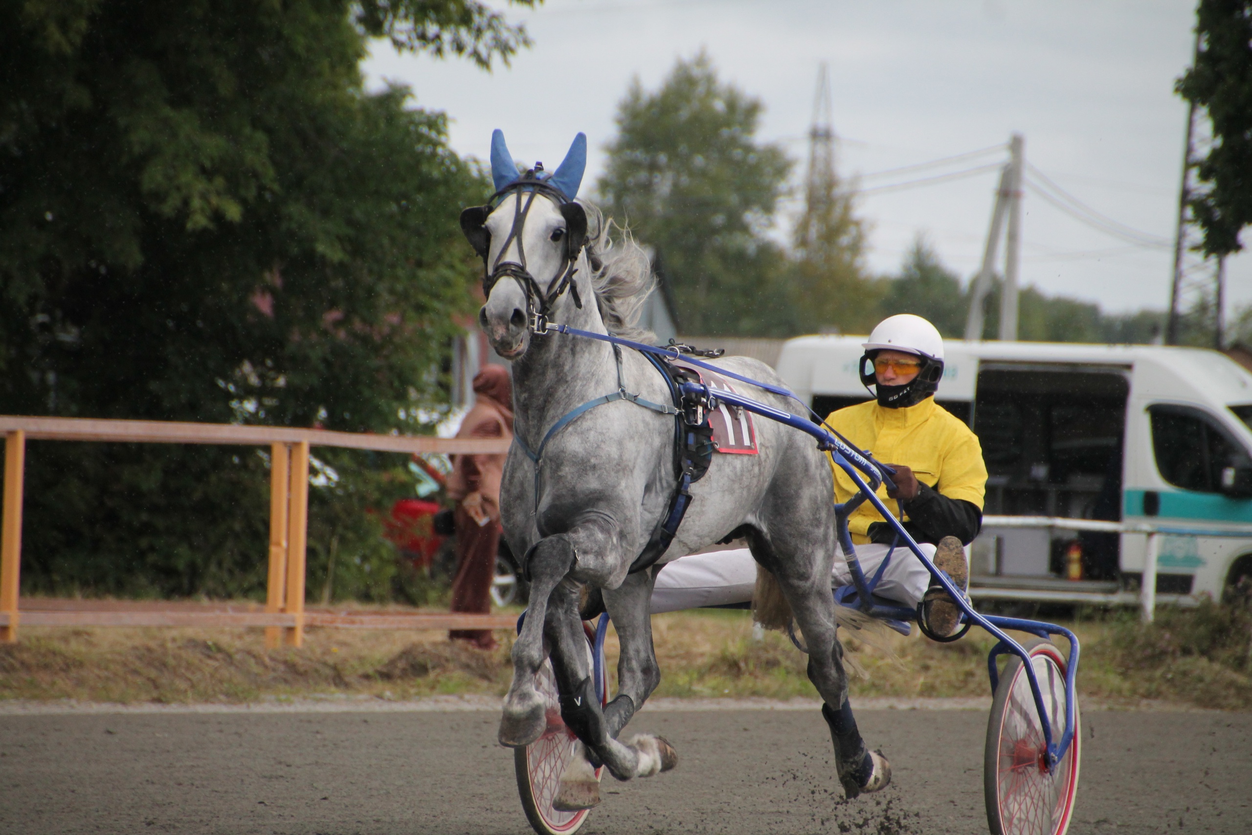 Фото: Ольга Дерюшева