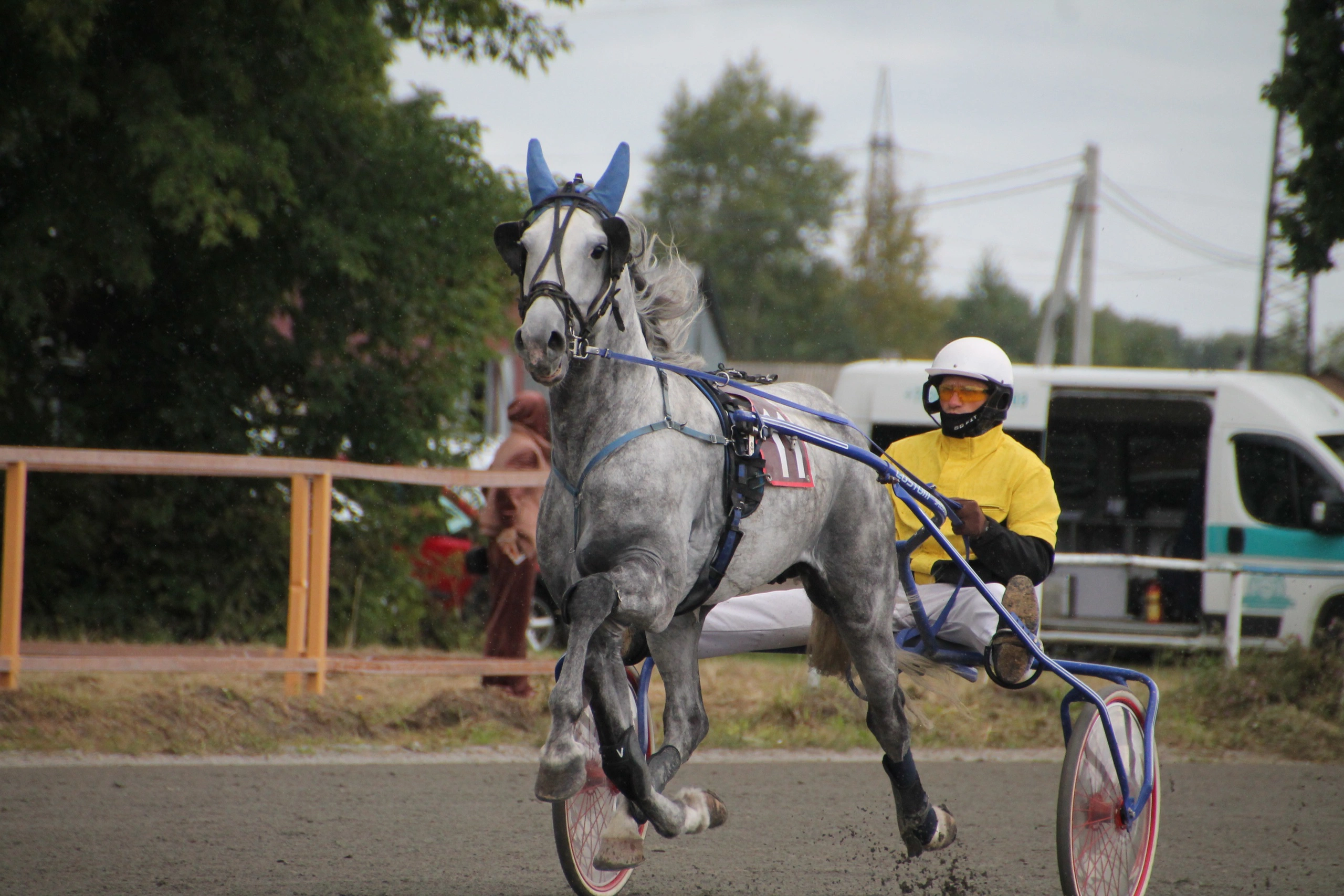 Ольга Дерюшева