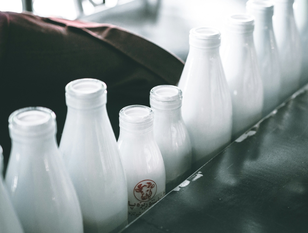 Молоко на конвейере

