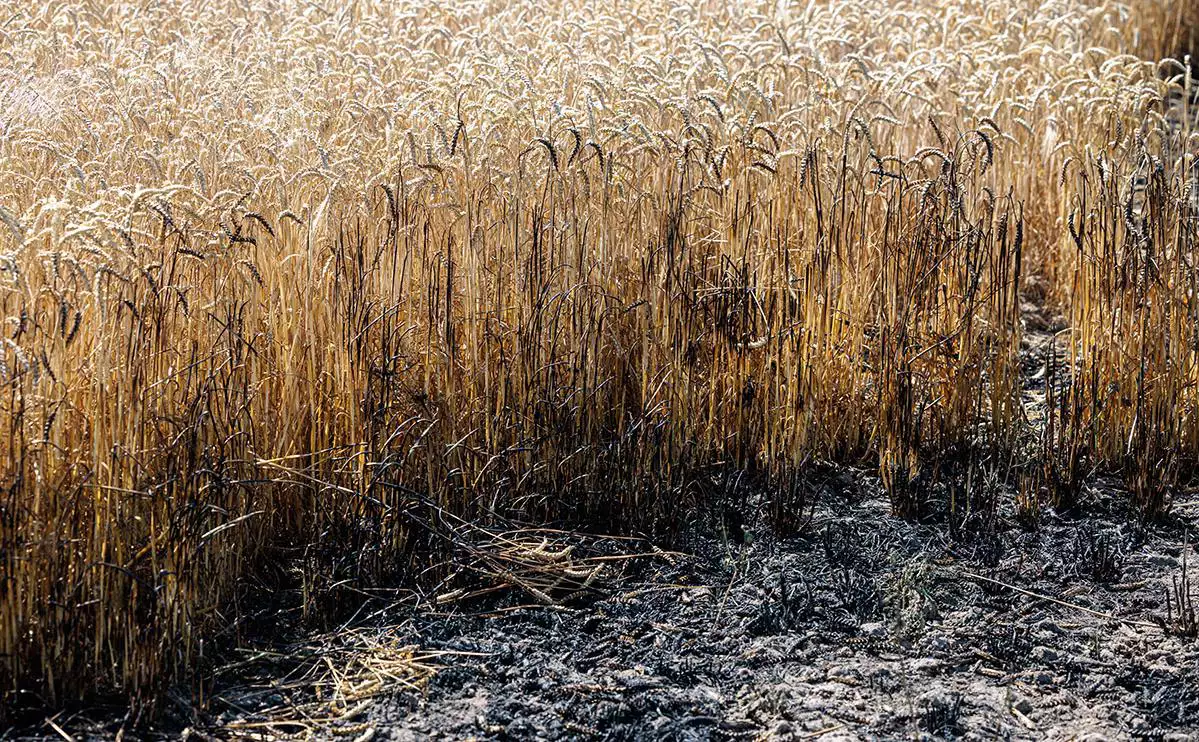 Jens Schlueter / Getty Images