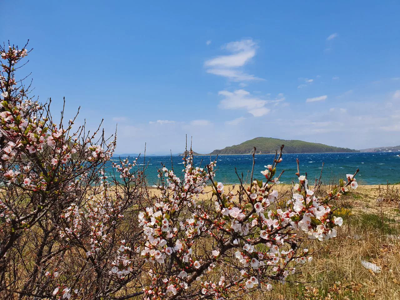 РБК Приморье