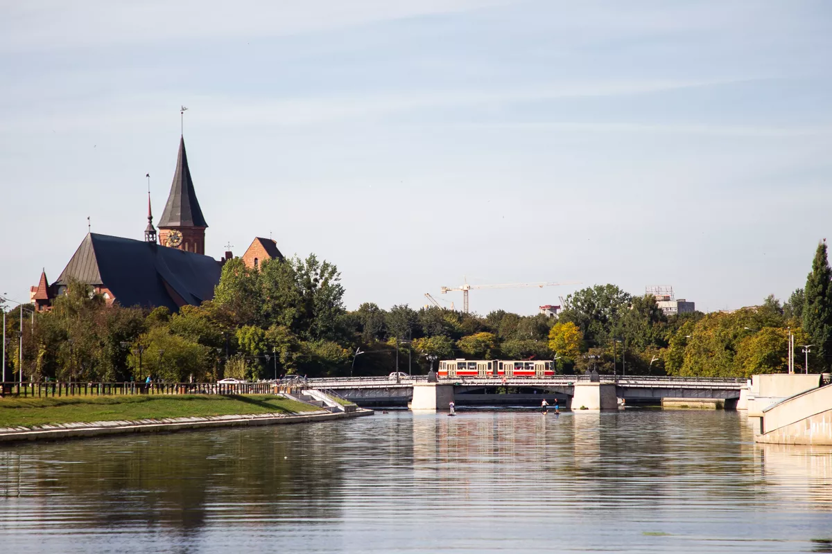 Александр Подгорчук