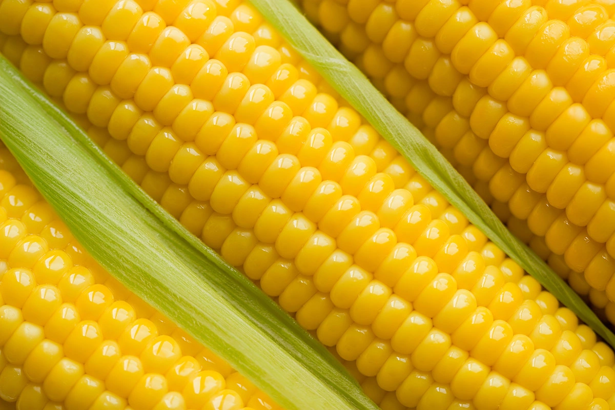 <p>Кукуруза, приготовленная в микроволновке</p>