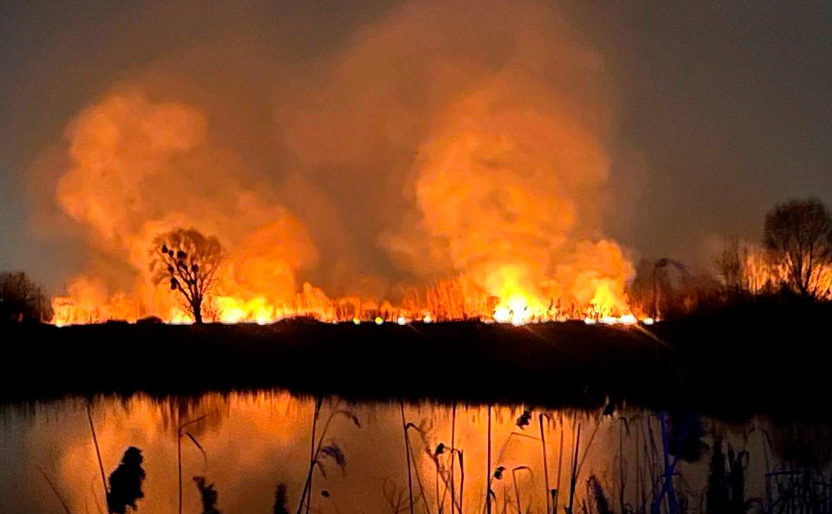 dsns_telegram / Telegram