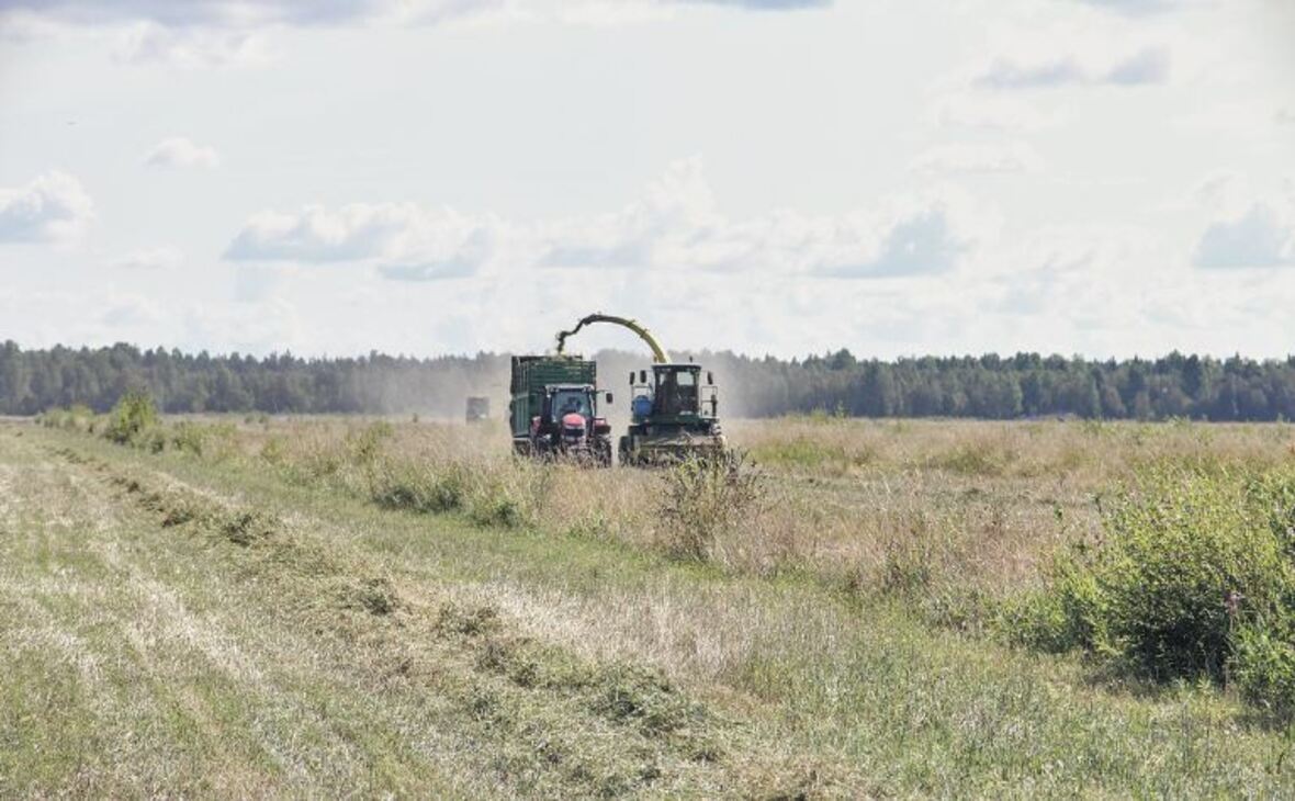 Фото: gov.karelia.ru