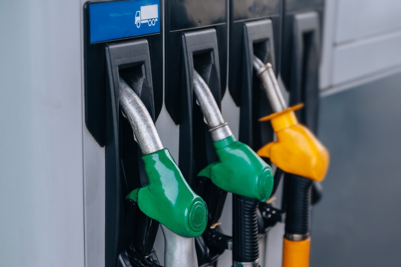 Фото: Shutterstock