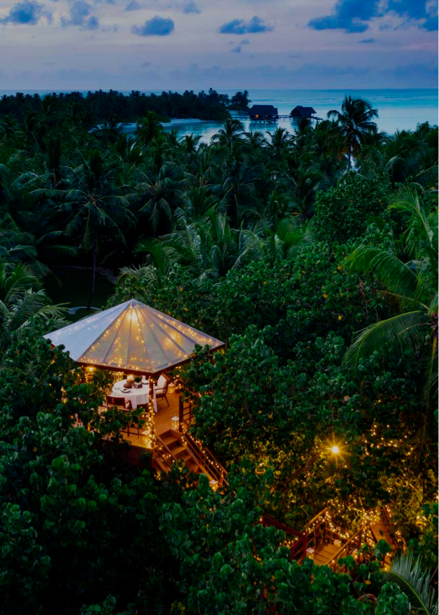 Ужин в домике на дереве на курорте One&amp;Only Reethi Rah (Мальдивы)