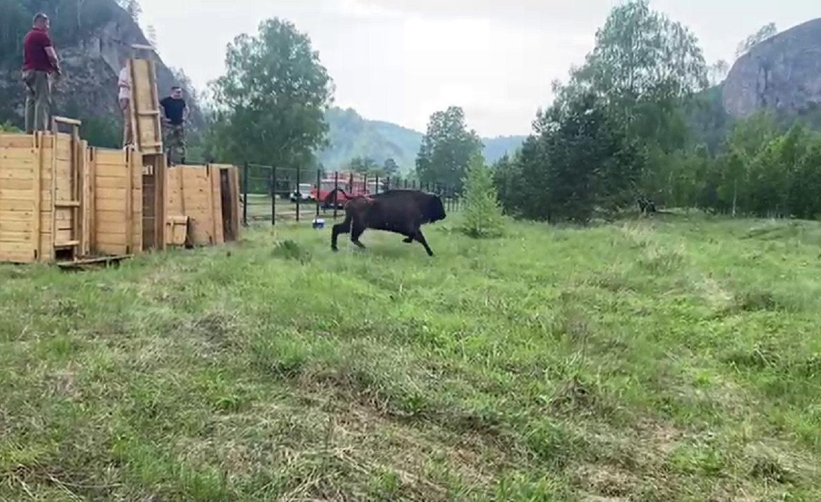 Радий Хабиров / t.me