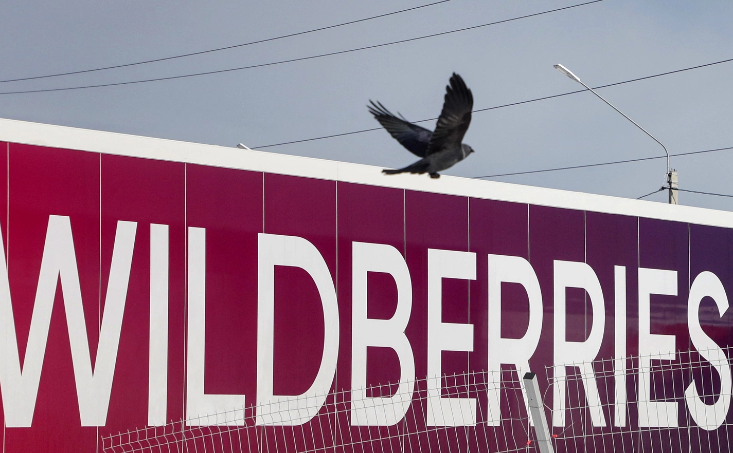 Maxim Shipenkov / EPA / ТАСС