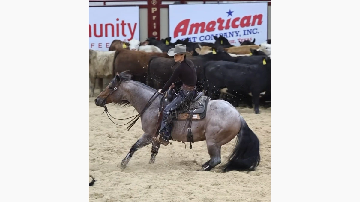 ab_performancehorses / Instagram (принадлежит компании Metа, которая признана в России экстремистской организацией и запрещена)